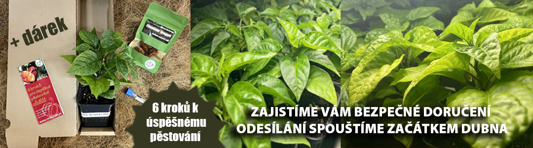 lišta sazenice BEZPEČNÉ DORZUČENÍ